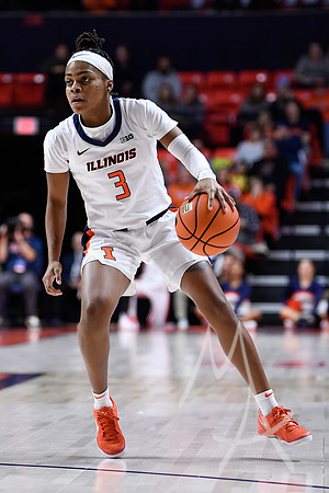 COLLEGE BASKETBALL: NOV 22 Women's - Oregon State at Illinois