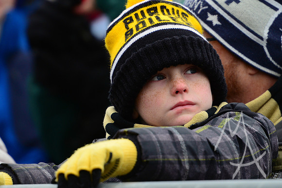 NCAA FOOTBALL: NOV 19 Wisconsin at Purdue