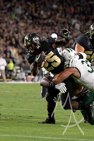 COLLEGE FOOTBALL: SEP 08 Ohio at Purdue