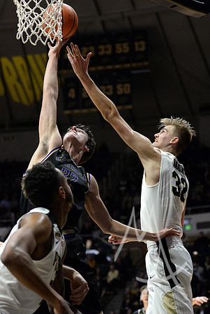 COLLEGE BASKETBALL: NOV 01 Carroll at Purdue