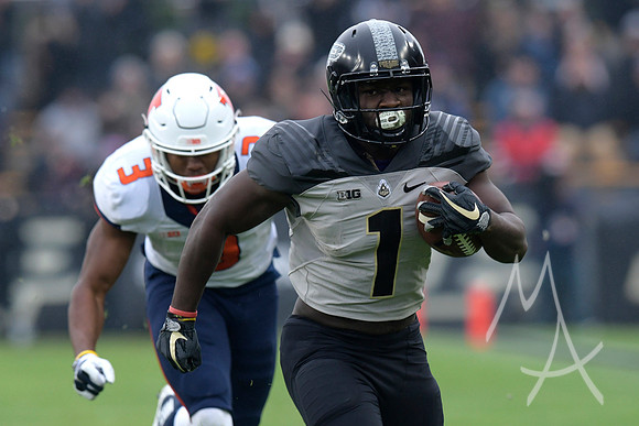 COLLEGE FOOTBALL: NOV 04 Illinois at Purdue