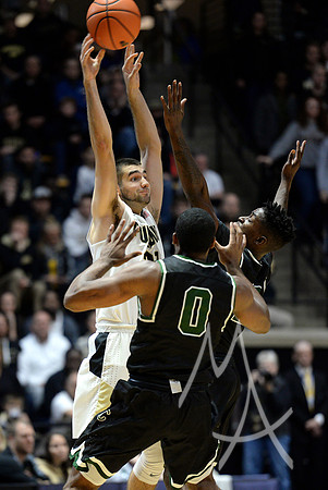 COLLEGE BASKETBALL: NOV 12 Chicago State at Purdue
