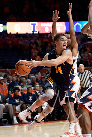 COLLEGE BASKETBALL: NOV 22 Augustana at Illinois