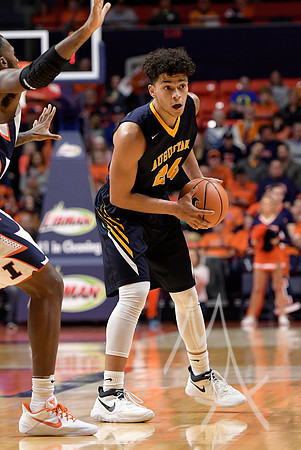 COLLEGE BASKETBALL: NOV 22 Augustana at Illinois