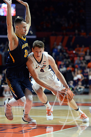 COLLEGE BASKETBALL: NOV 22 Augustana at Illinois