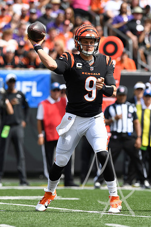 NFL: SEP 17 Ravens at Bengals