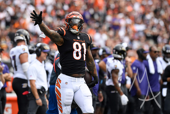 NFL: SEP 17 Ravens at Bengals