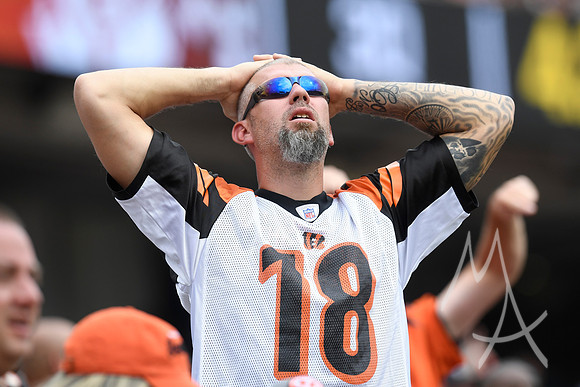 NFL: SEP 17 Ravens at Bengals