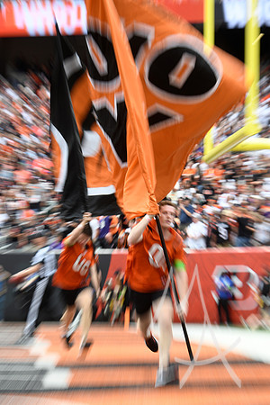 NFL: SEP 17 Ravens at Bengals