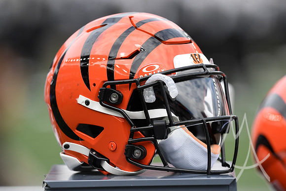 NFL: SEP 17 Ravens at Bengals