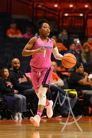 COLLEGE BASKETBALL: FEB 13 Women's - Ohio State at Illinois
