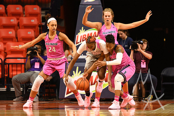 COLLEGE BASKETBALL: FEB 13 Women's - Ohio State at Illinois