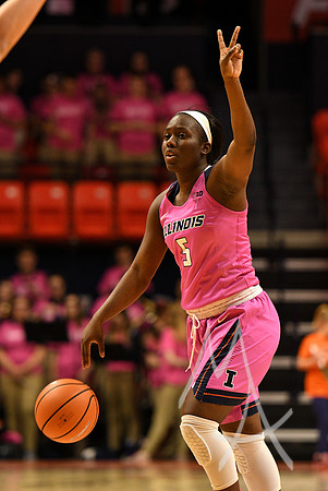 COLLEGE BASKETBALL: FEB 13 Women's - Ohio State at Illinois