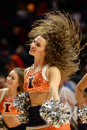 COLLEGE BASKETBALL: FEB 22 Purdue at Illinois