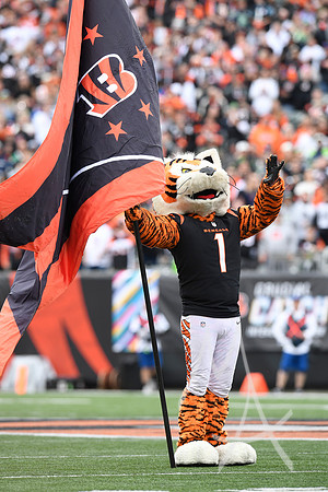 NFL: OCT 15 Seahawks at Bengals