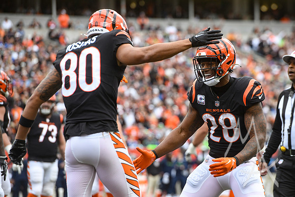 NFL: OCT 15 Seahawks at Bengals