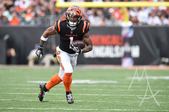 NFL: OCT 15 Seahawks at Bengals