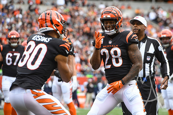 NFL: OCT 15 Seahawks at Bengals