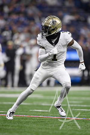 NFL: OCT 29 Saints at Colts