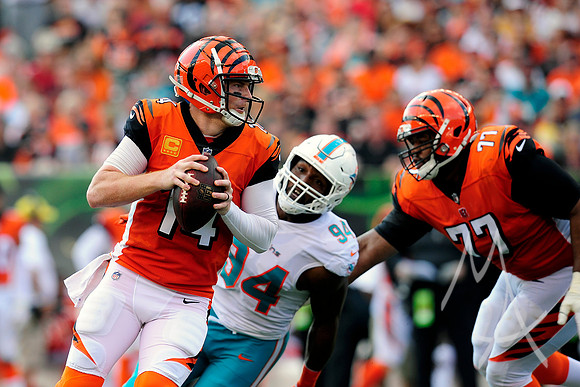 NFL: OCT 07 Dolphins at Bengals