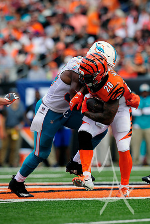 NFL: OCT 07 Dolphins at Bengals
