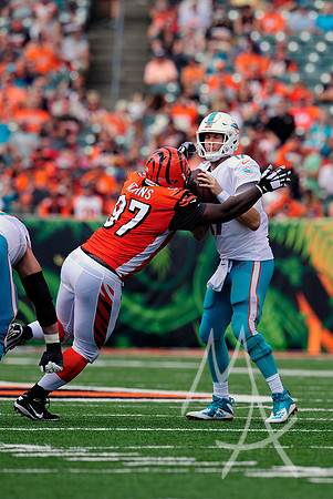 NFL: OCT 07 Dolphins at Bengals