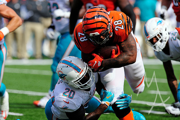 NFL: OCT 07 Dolphins at Bengals