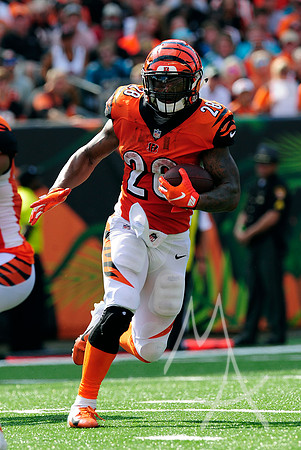NFL: OCT 07 Dolphins at Bengals