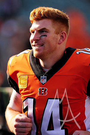 NFL: OCT 07 Dolphins at Bengals