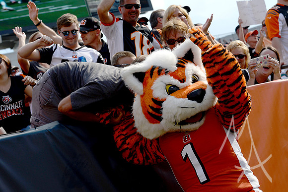 NFL: OCT 07 Dolphins at Bengals