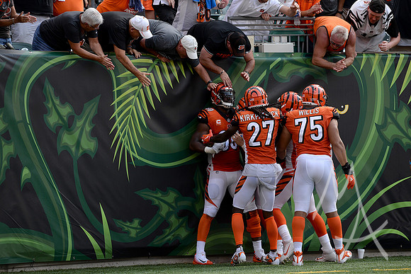 NFL: OCT 07 Dolphins at Bengals