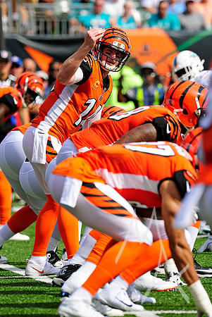 NFL: OCT 07 Dolphins at Bengals