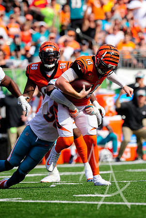 NFL: OCT 07 Dolphins at Bengals