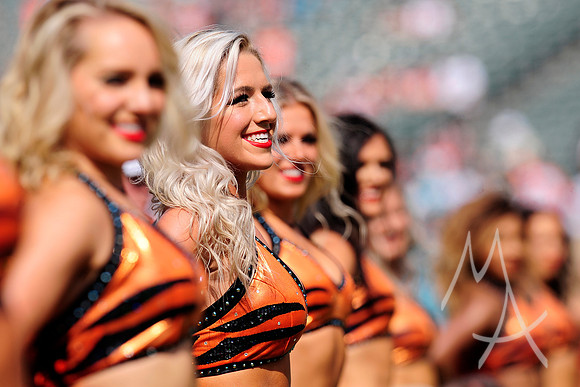 NFL: OCT 07 Dolphins at Bengals