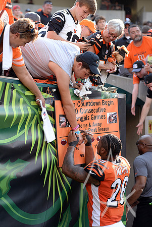 NFL: OCT 07 Dolphins at Bengals