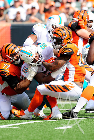 NFL: OCT 07 Dolphins at Bengals