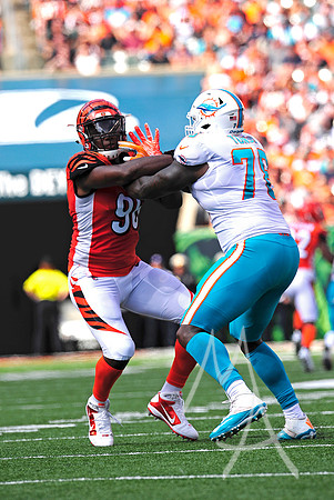 NFL: OCT 07 Dolphins at Bengals