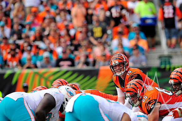 NFL: OCT 07 Dolphins at Bengals