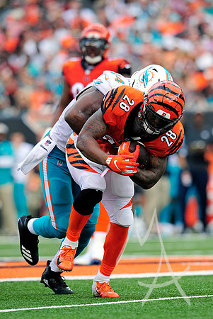 NFL: OCT 07 Dolphins at Bengals
