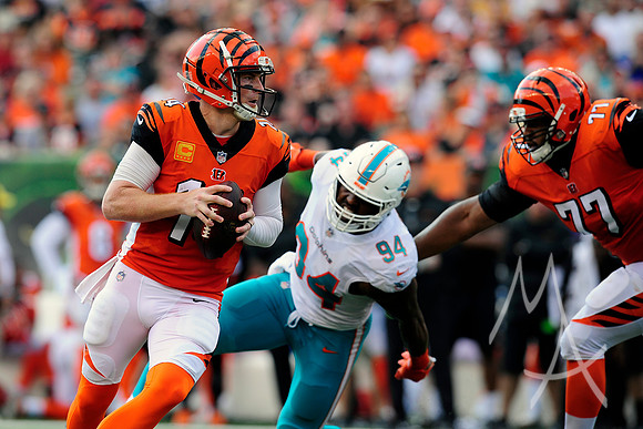 NFL: OCT 07 Dolphins at Bengals