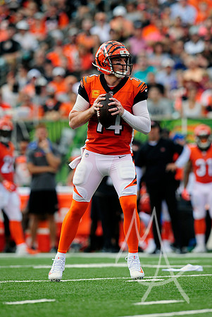 NFL: OCT 07 Dolphins at Bengals