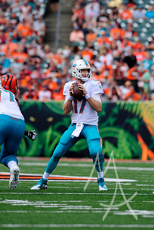 NFL: OCT 07 Dolphins at Bengals