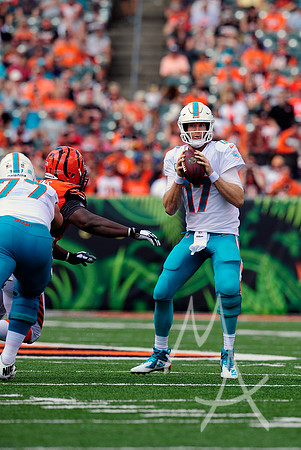 NFL: OCT 07 Dolphins at Bengals