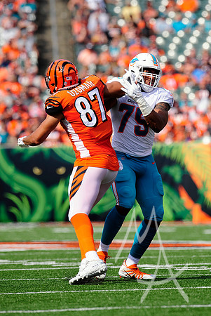 NFL: OCT 07 Dolphins at Bengals