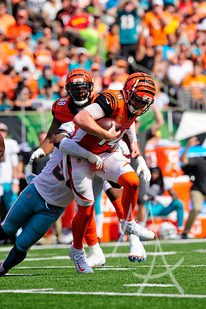 NFL: OCT 07 Dolphins at Bengals