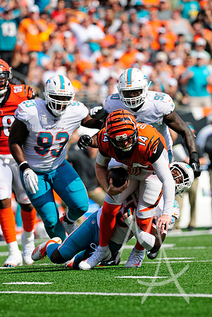 NFL: OCT 07 Dolphins at Bengals