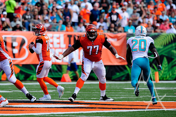 NFL: OCT 07 Dolphins at Bengals