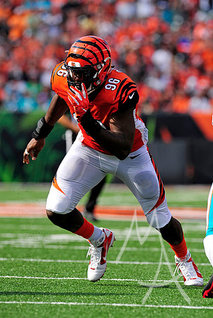 NFL: OCT 07 Dolphins at Bengals