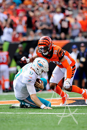 NFL: OCT 07 Dolphins at Bengals
