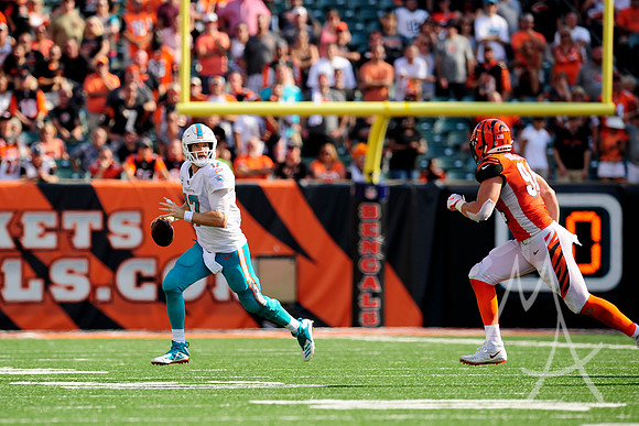 NFL: OCT 07 Dolphins at Bengals